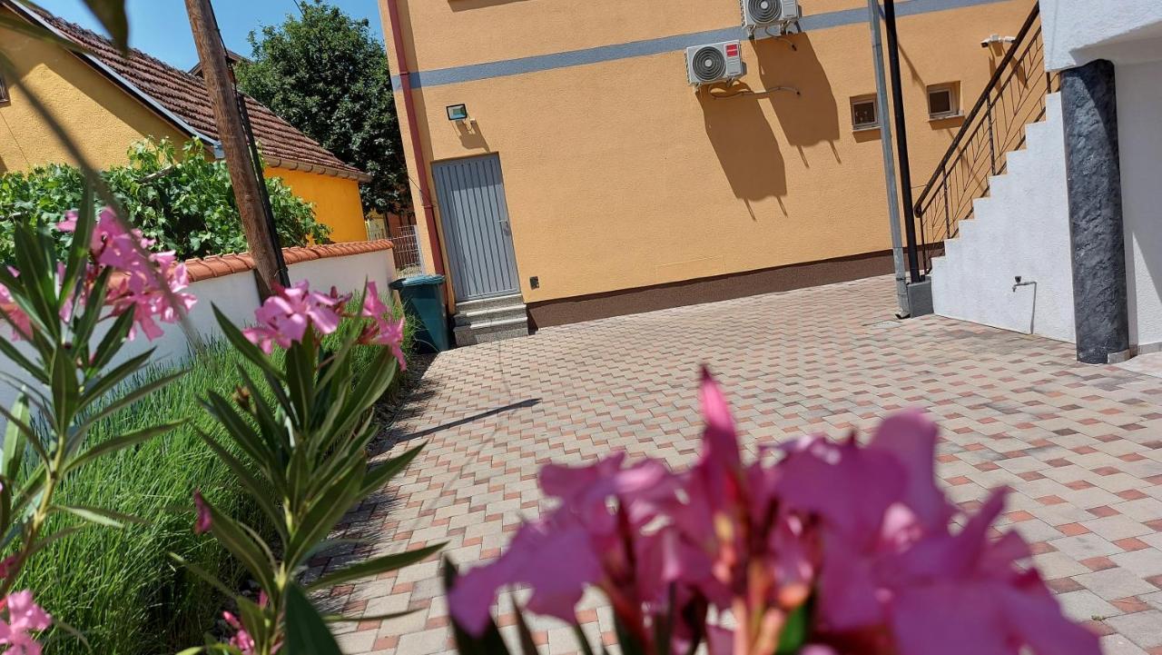 Apartment Kapetanovic Bosanski Samac Eksteriør billede